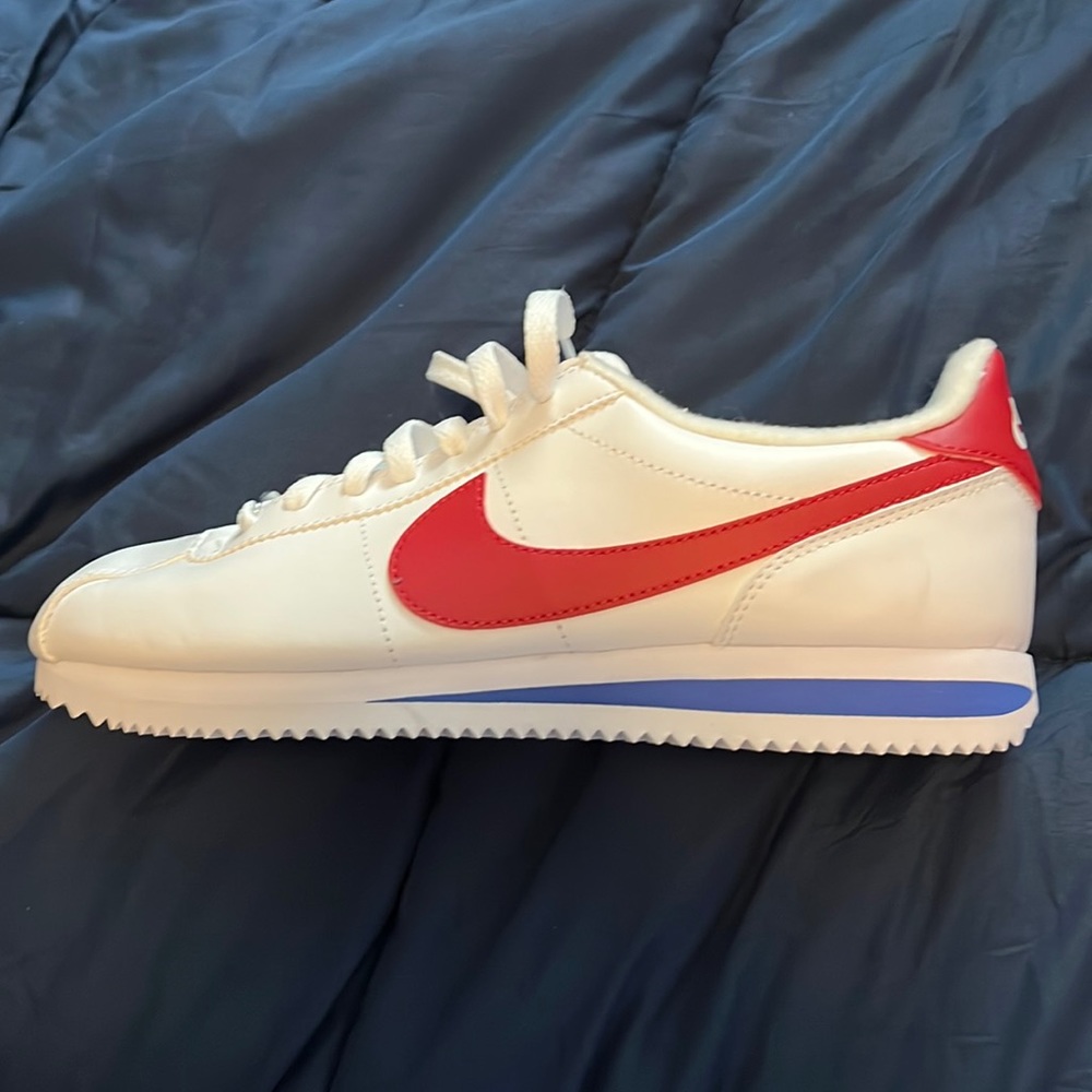 Nike Cortez shoes (Forest Gump color way)